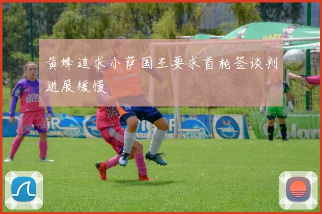 黄蜂追求小萨国王要求首轮签谈判进展缓慢
